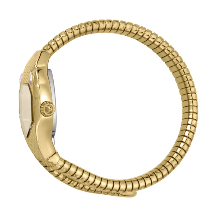 Just Cavalli Women Watch Gold Color Case Champagne Dial Gold Color Stainless Steel Metal Bracelet Just Cavalli Bracelets Just Cavalli Women Watch Gold Color Case Champagne Dial Gold Color Stainless Steel Metal Bracelet Just Cavalli Bracelets