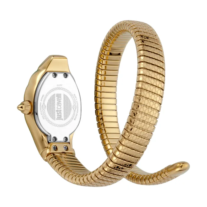 Just Cavalli Women Watch Gold Color Case Champagne Dial Gold Color Stainless Steel Metal Bracelet Just Cavalli Bracelets Just Cavalli Women Watch Gold Color Case Champagne Dial Gold Color Stainless Steel Metal Bracelet Just Cavalli Bracelets